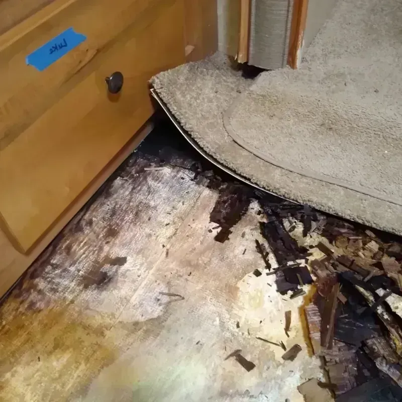 Best Wood Floor Water Damage Service in Ayden, NC